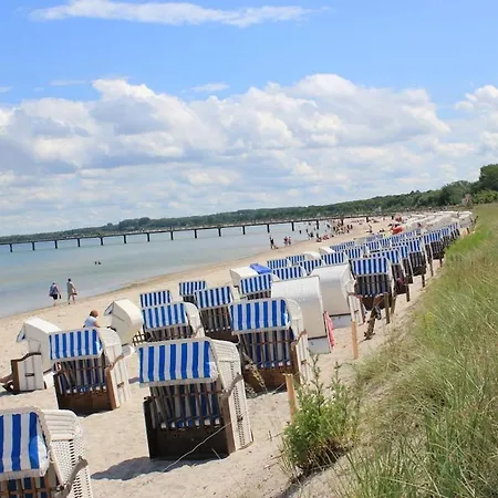 Small Baltic Sea Nest *